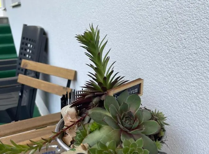 Apartament Egger Schwendau